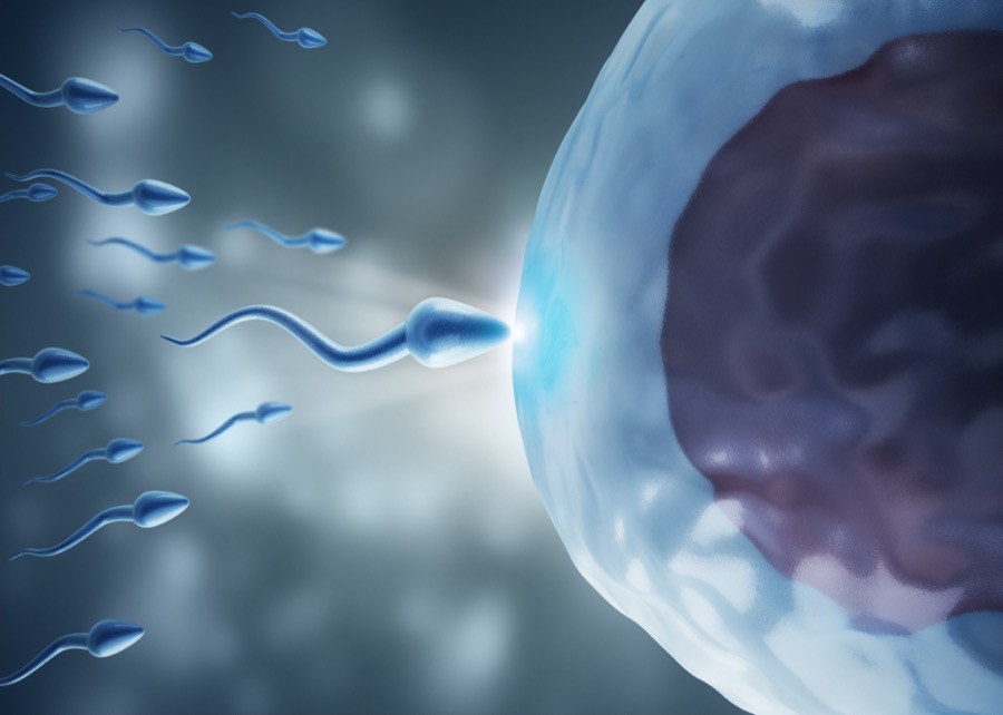 Acupuncture for Sperm Quality